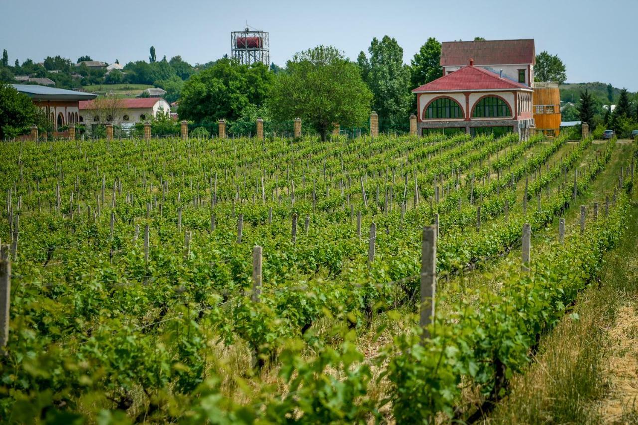 Chateau Monolit Hotel Ikinci Yeniyol Exterior foto